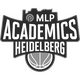 海德堡  logo