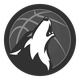 明尼蘇達(達)森林(lin)狼  logo